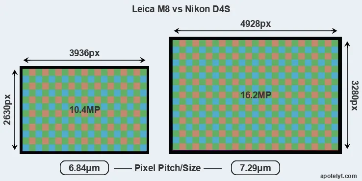 M8 versus D4S MP