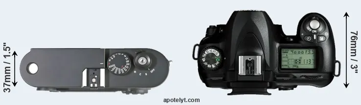 Compare M8 versus D50 top