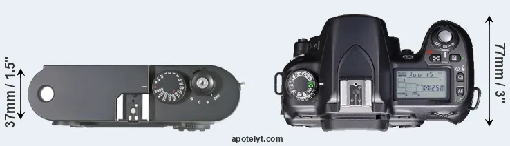 Compare M8 versus D80 top