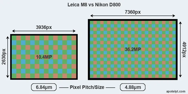 M8 versus D800 MP