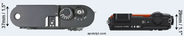 Compare M8 versus W300 top