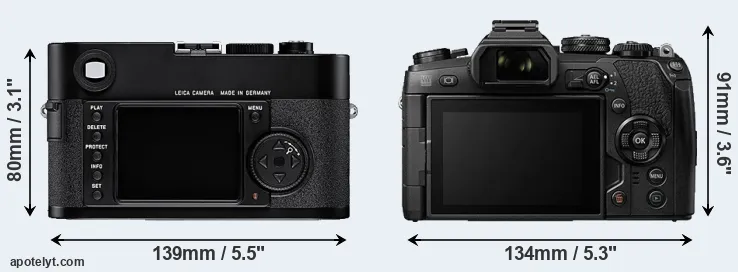Comparison M8 or E-M1 II rear