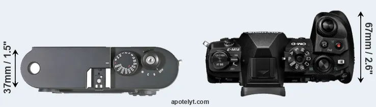 Compare M8 versus E-M1 II top