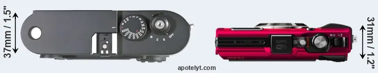 Compare M8 versus TG-4 top