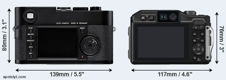 Comparison M8 or FT7 rear