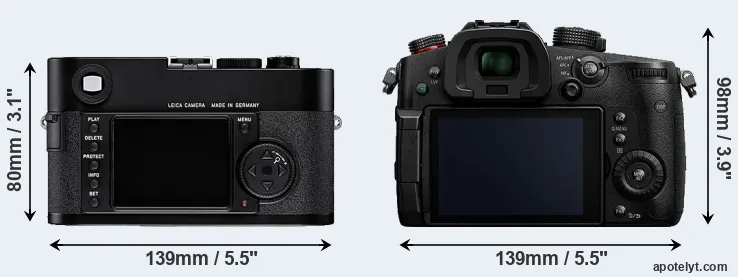 Comparison M8 or GH5s rear