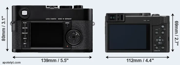 Comparison M8 or TZ95 rear