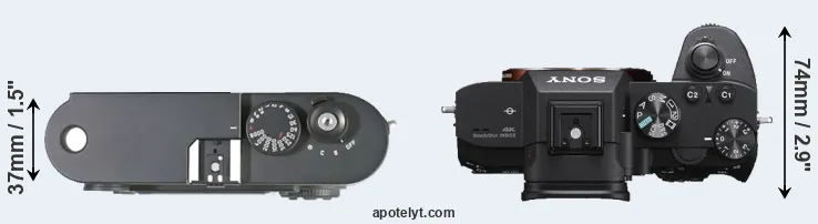 Compare M8 versus A7 III top