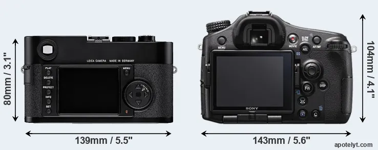 Comparison M8 or A77 II rear