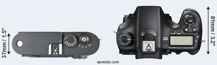 Compare M8 versus A77 II top