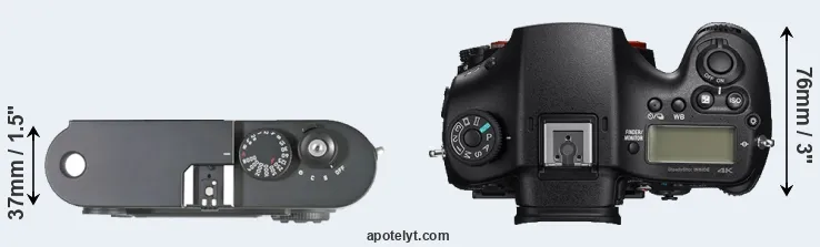 Compare M8 versus A99 II top