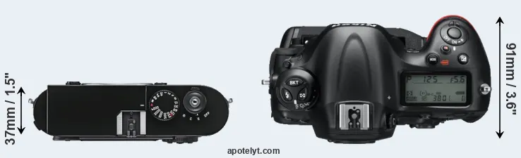 Compare M9 versus D4 top