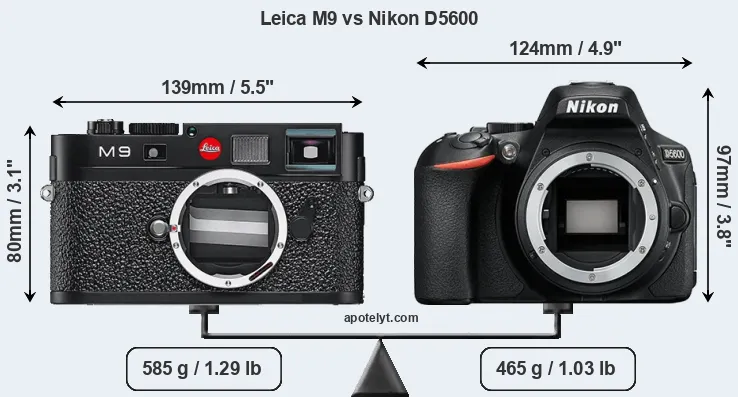 Size Leica M9 vs Nikon D5600