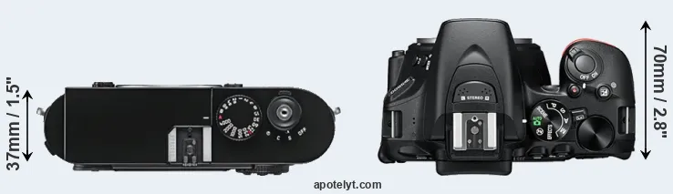 Compare M9 versus D5600 top