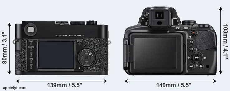 Comparison M9 or P900 rear