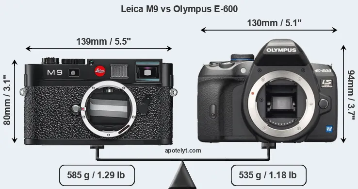 Size Leica M9 vs Olympus E-600