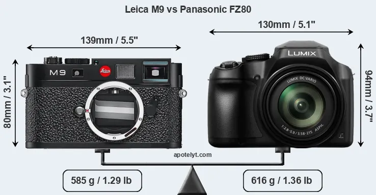 Size Leica M9 vs Panasonic FZ80