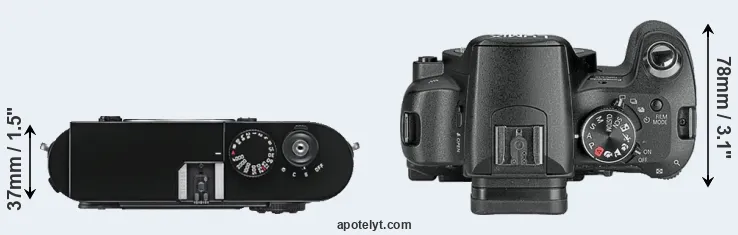 Compare M9 versus L10 top