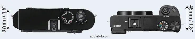 Compare M9 versus A6000 top