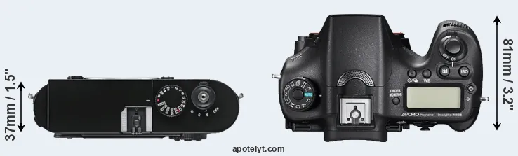 Compare M9 versus A77 II top