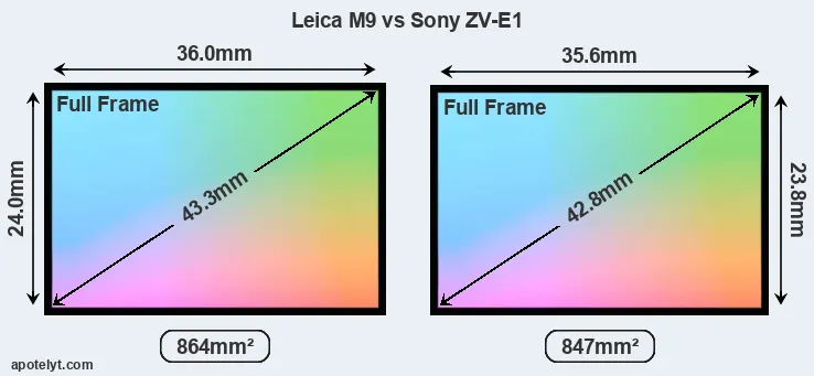 Leica M9 and Sony ZV-E1 sensor measures