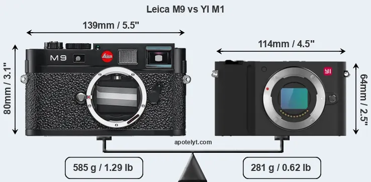 Size Leica M9 vs YI M1