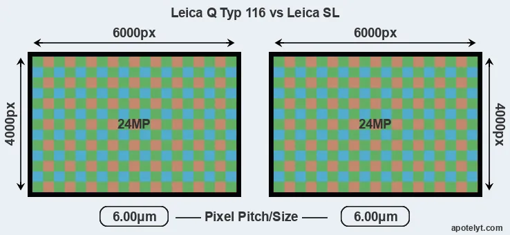 Q Typ 116 versus Leica SL MP