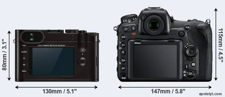 Comparison Q Typ 116 or D500 rear