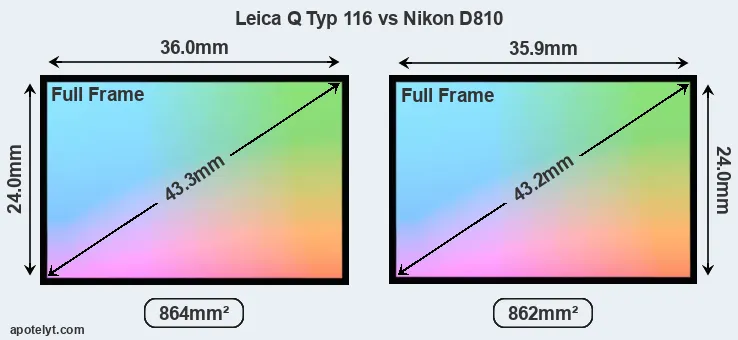 Leica Q Typ 116 and Nikon D810 sensor measures