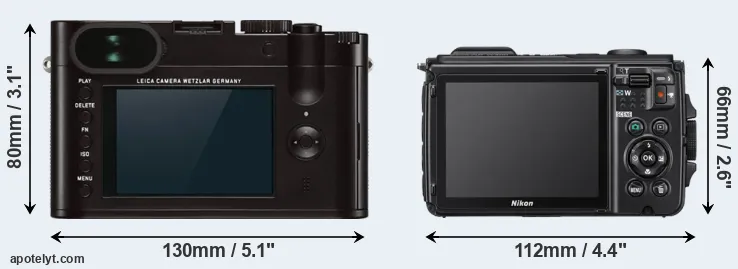 Comparison Q Typ 116 or W300 rear