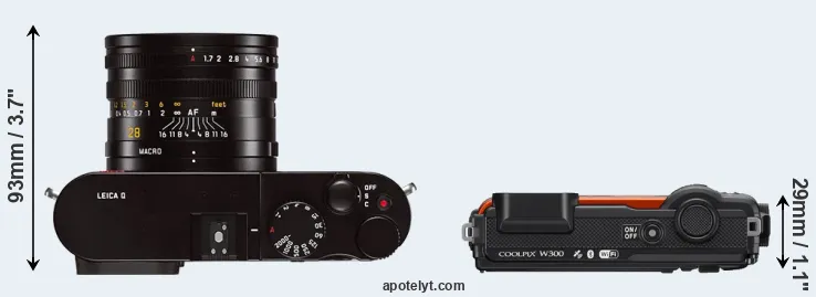 Compare Q Typ 116 versus W300 top