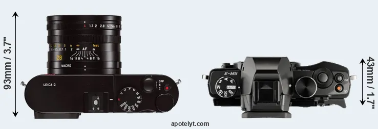 Compare Q Typ 116 versus E-M5 top