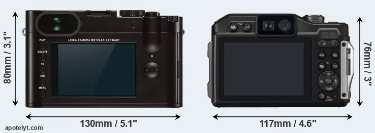 Comparison Q Typ 116 or FT7 rear