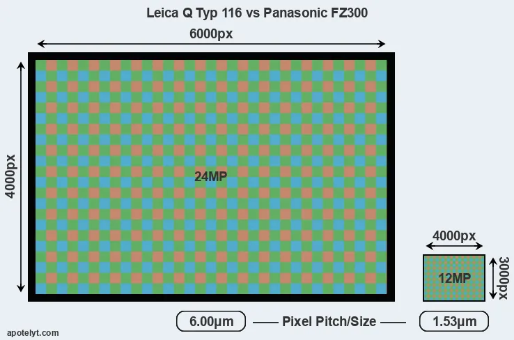 Q Typ 116 versus FZ300 MP