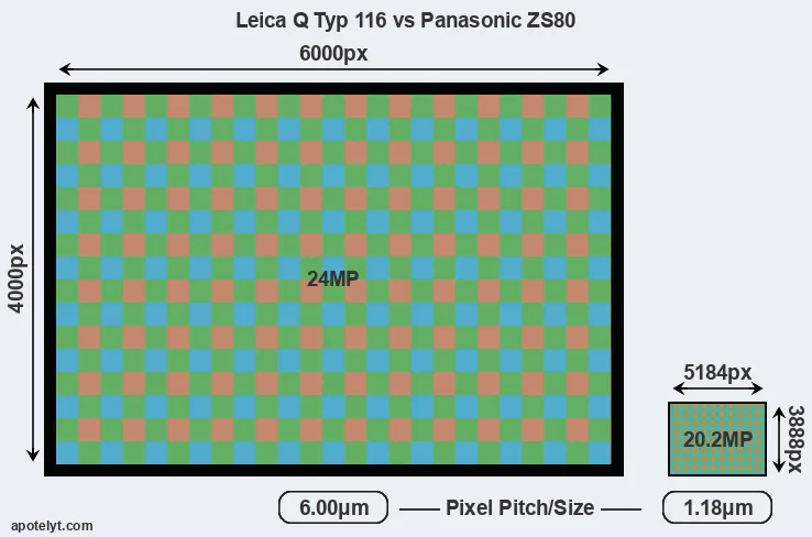 Q Typ 116 versus ZS80 MP