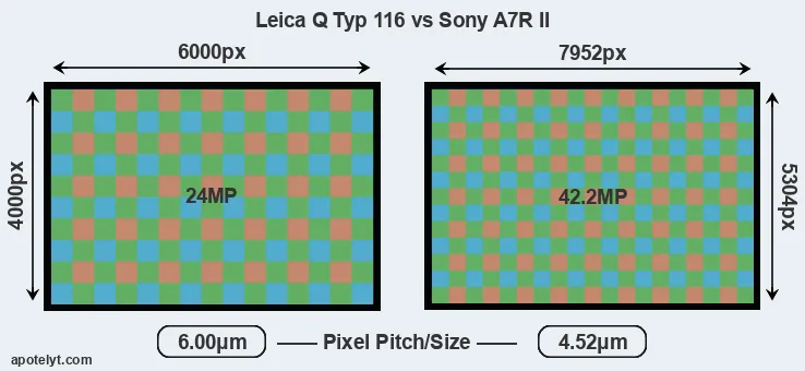 Q Typ 116 versus A7R II MP