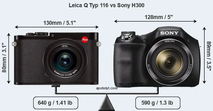 Size Leica Q Typ 116 vs Sony H300
