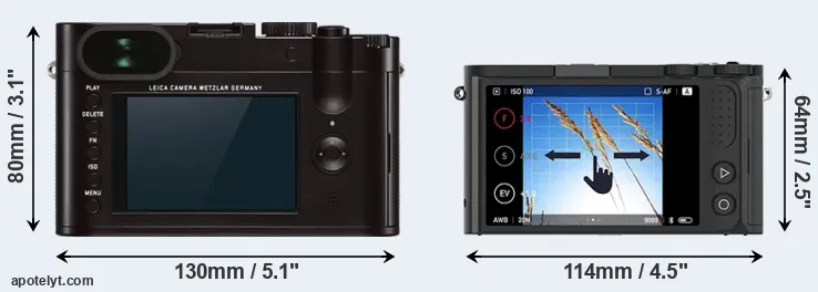 Comparison Q Typ 116 or M1 rear