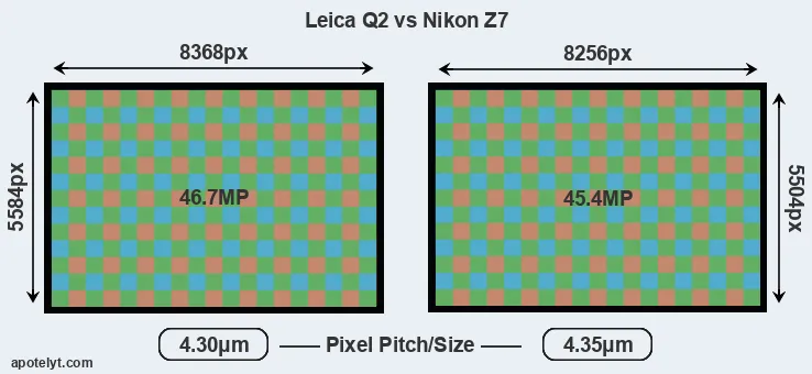 Q2 versus Z7 MP