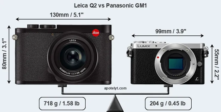Size Leica Q2 vs Panasonic GM1
