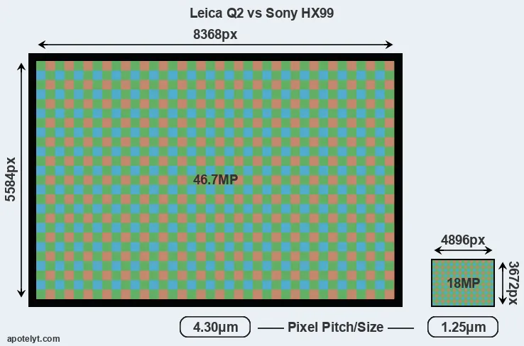 Q2 versus HX99 MP