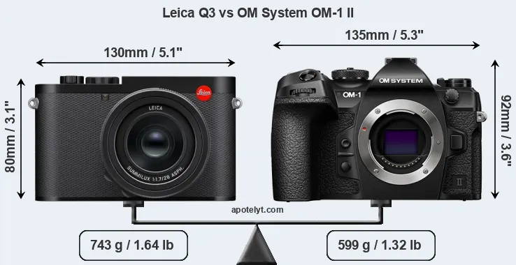 Size Leica Q3 vs OM System OM-1 II