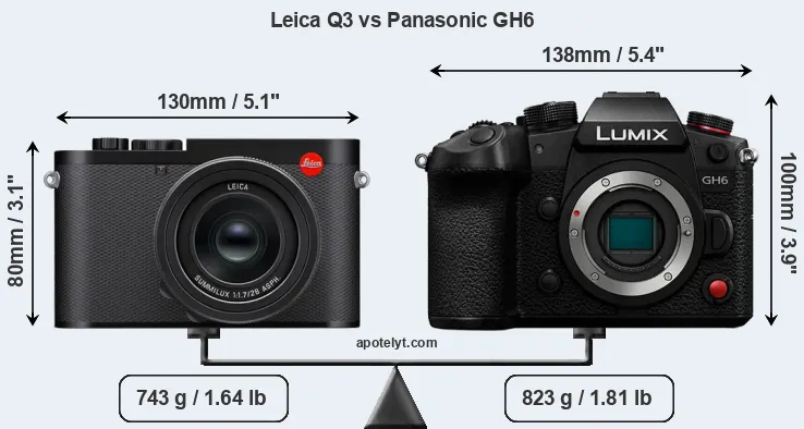 Size Leica Q3 vs Panasonic GH6