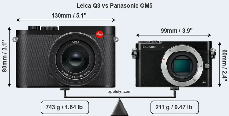 Size Leica Q3 vs Panasonic GM5