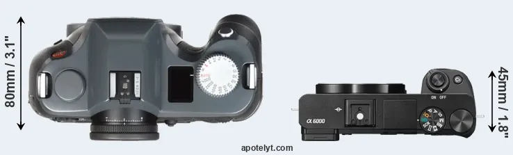 Compare S-E Typ 006 versus A6000 top