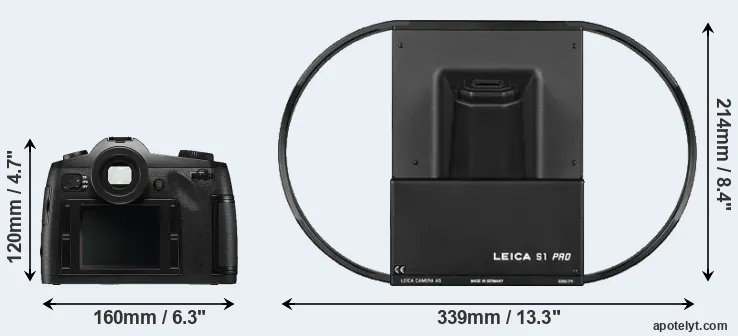 Comparison S Typ 006 or S1 rear