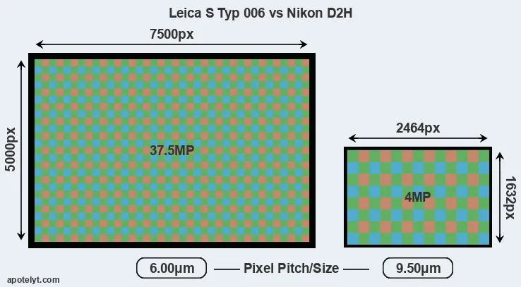 S Typ 006 versus D2H MP