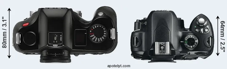 Compare S Typ 006 versus D60 top