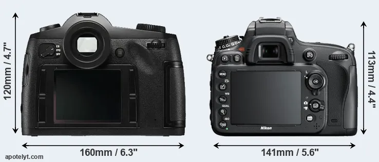 Comparison S Typ 006 or D600 rear