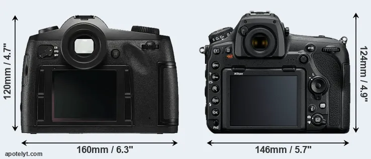 Comparison S Typ 006 or D850 rear